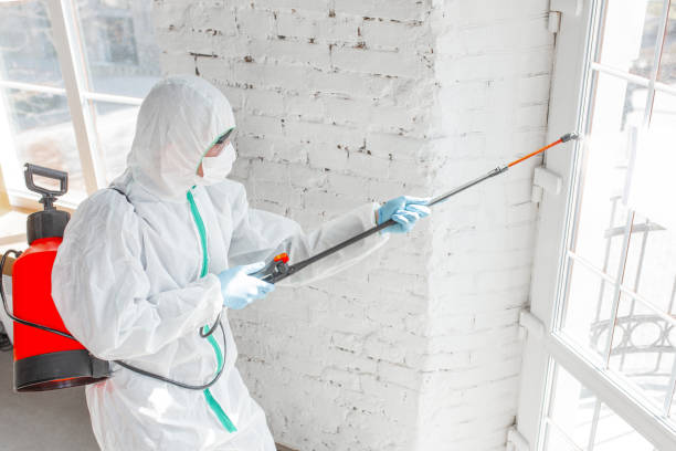 Best Comprehensive Air Testing for Mold Contaminants in USA